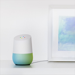 google home 250 0